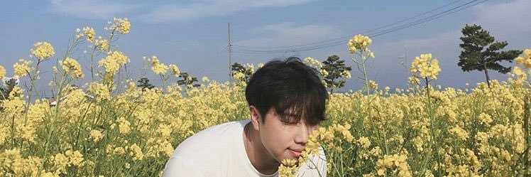 Diogo 🦬 banner