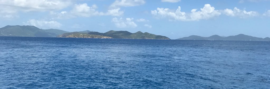 courtlynn banner