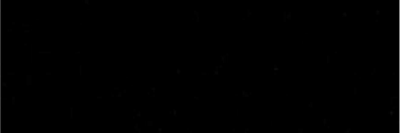 “The Chairman” Steven Vincent banner