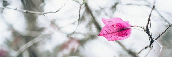 31_BECHA's profile banner image