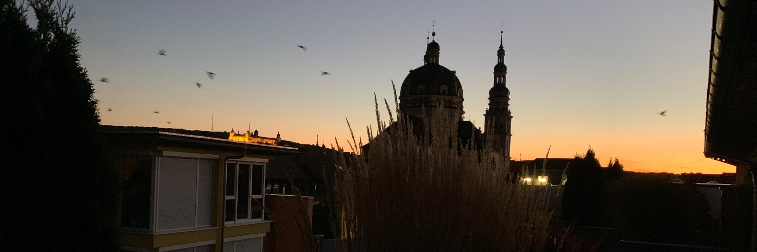 StRuehling's profile banner image