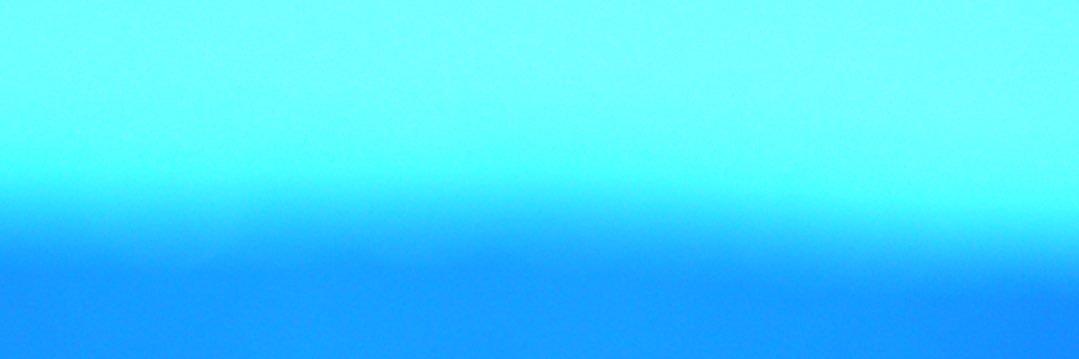 Trans Student Educational Resources banner