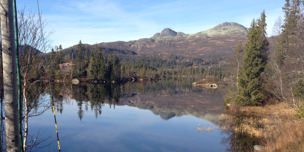 Roy Arve Garvik banner