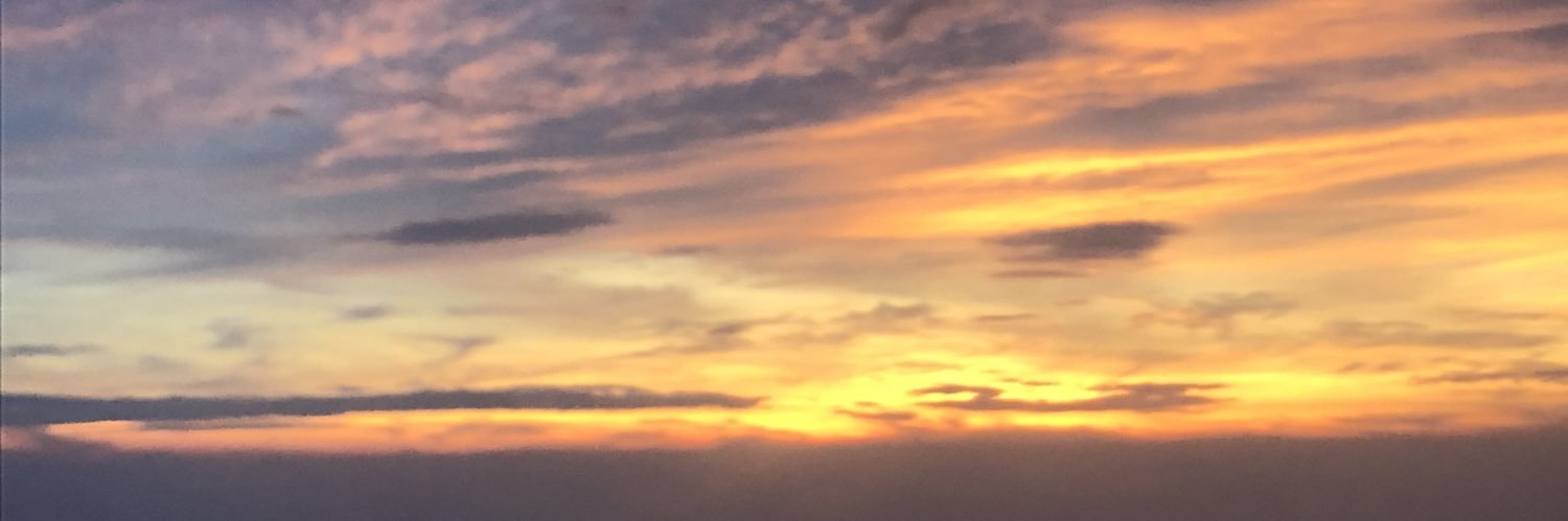 rochellsj's profile banner image