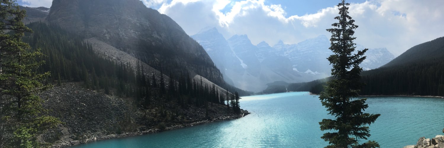 featherstonetay's profile banner image