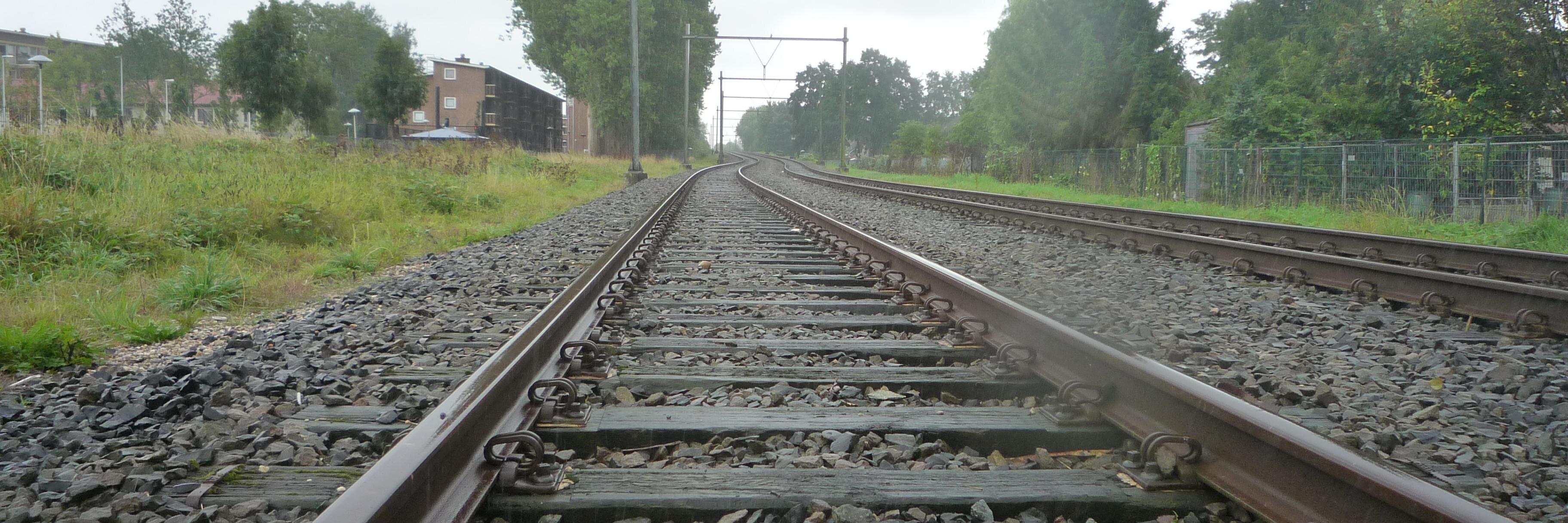 Hans Dinkelberg banner