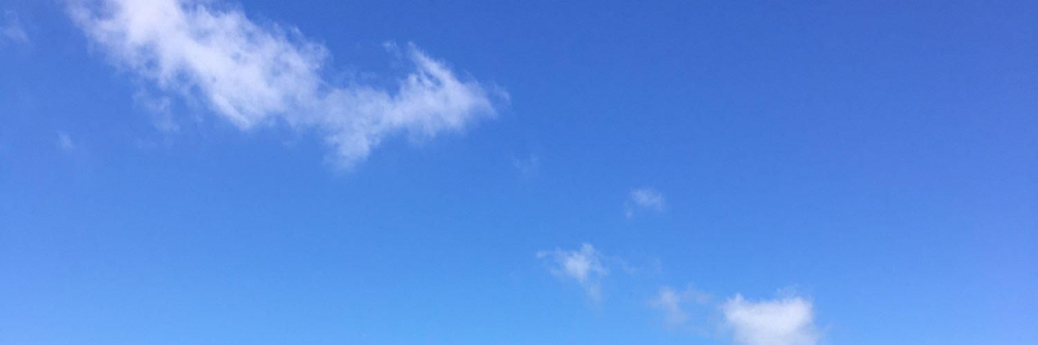 sunflower__v6's profile banner image