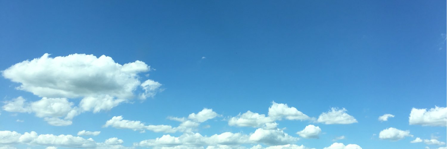 stinkerlee's profile banner image