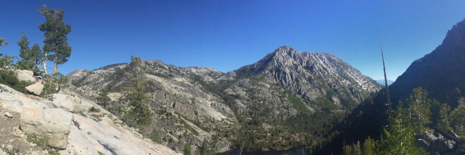 patrick mccann banner