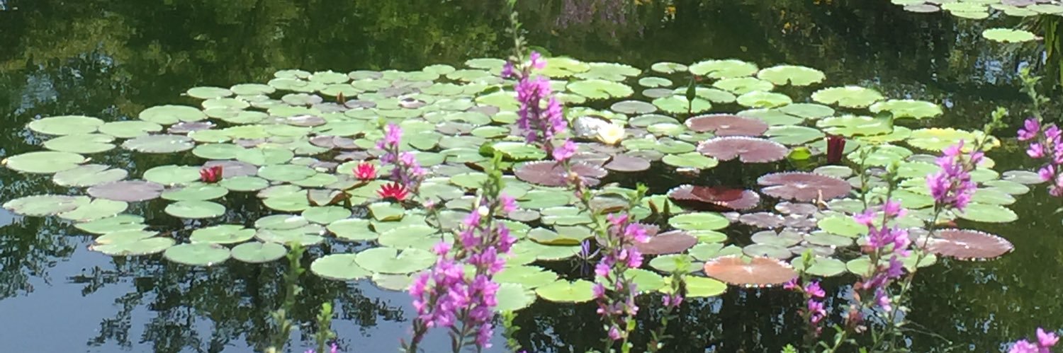 ＼\りょーた/／ banner