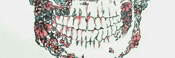 soffialv's profile banner image