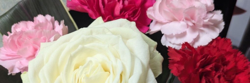 nextwhisky's profile banner image