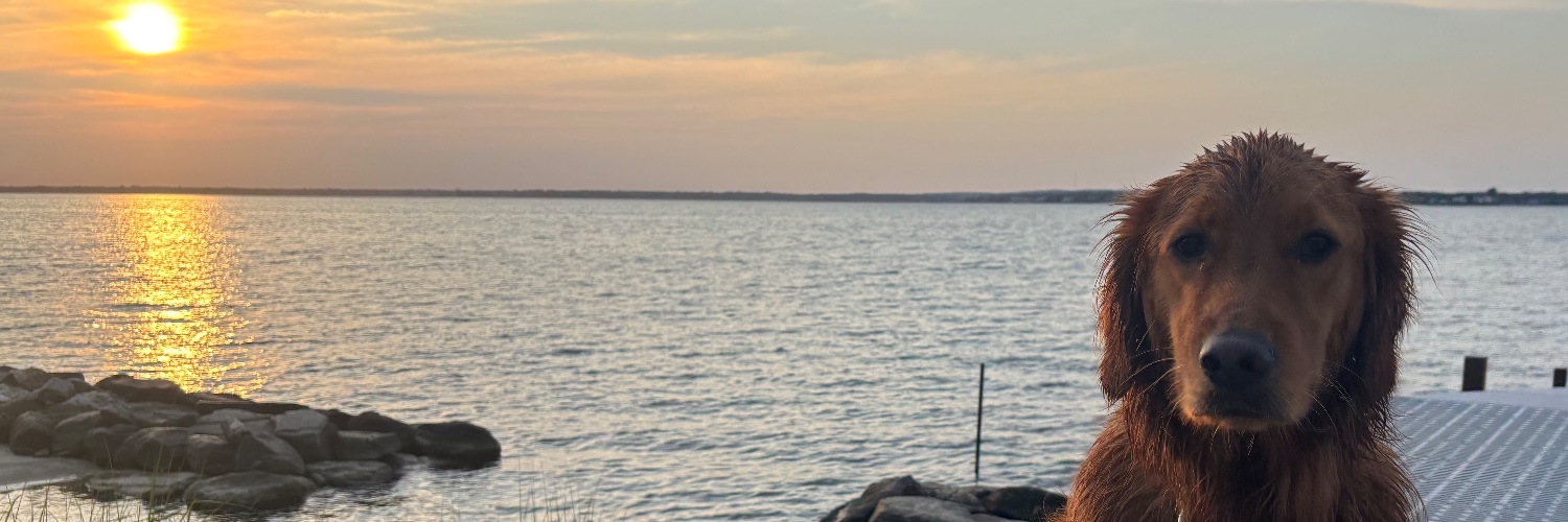 MattyDaddy+972 banner