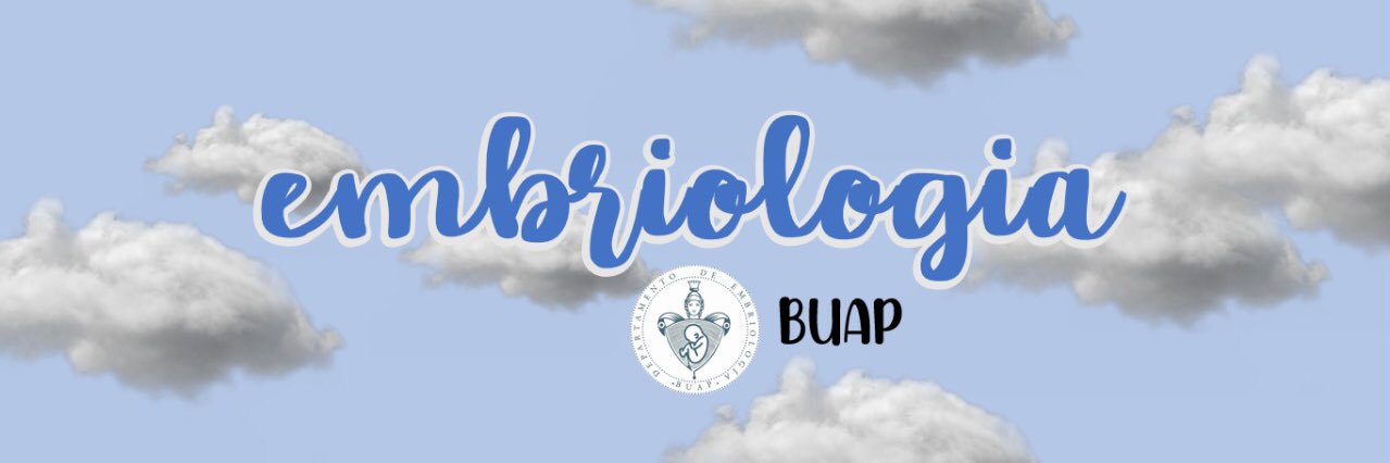 EmbrioBUAP's profile banner image