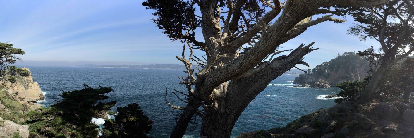 Randall Keith banner