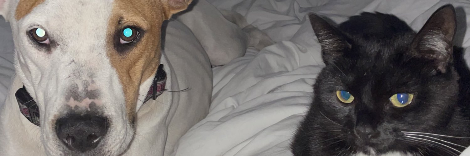 bry_bry1008's profile banner image
