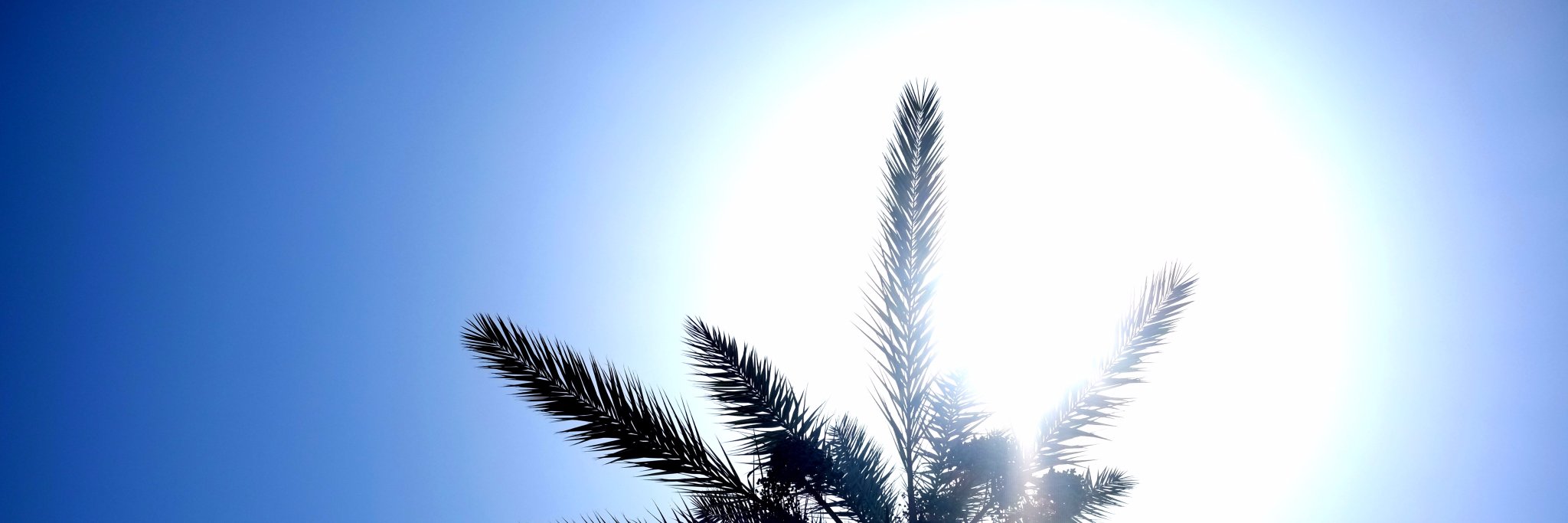 sdpartington's profile banner image