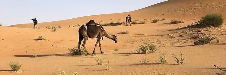 abdallah_666's profile banner image