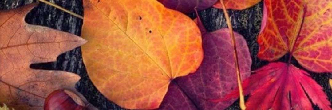 _billolo_'s profile banner image