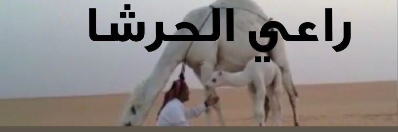 alkheals's profile banner image