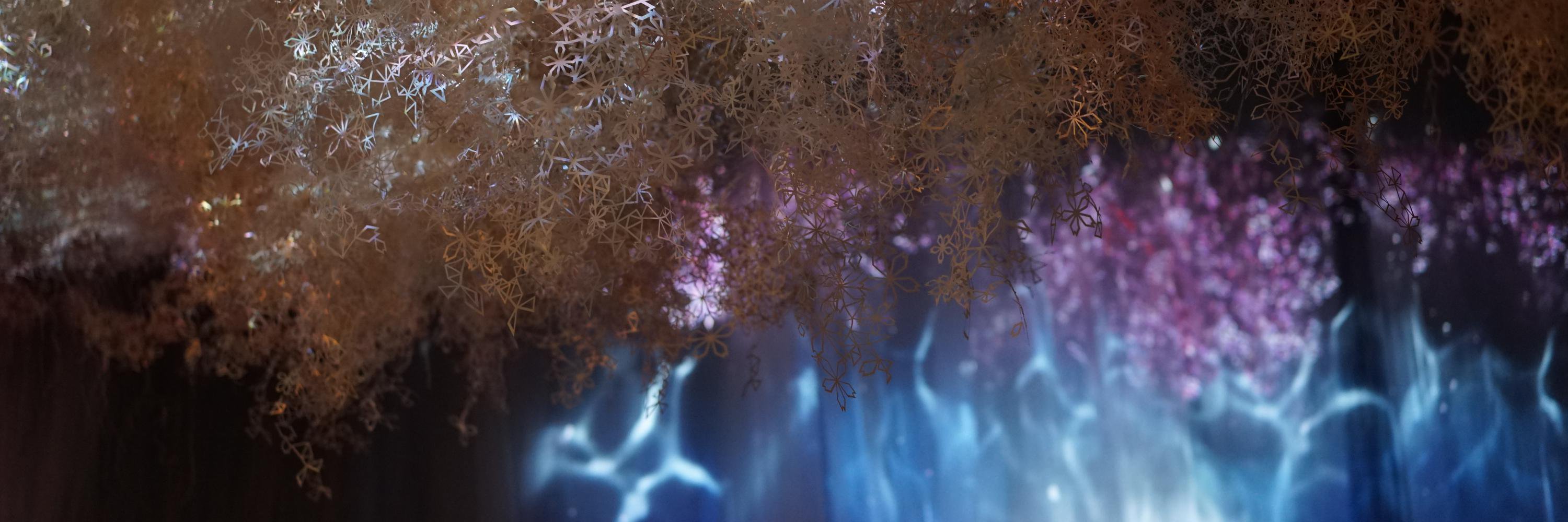 aocat's profile banner image