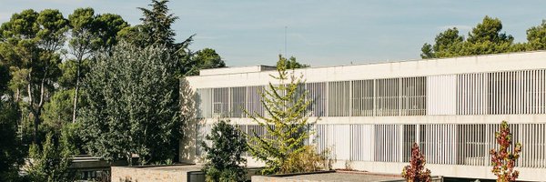 santacole Profile Banner
