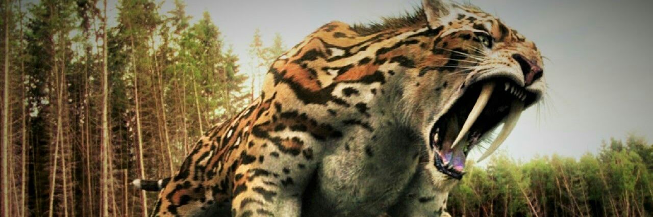 darbe9's profile banner image