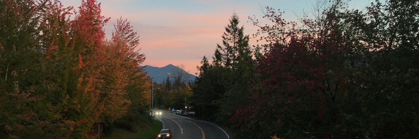 TaylorMiller317's profile banner image