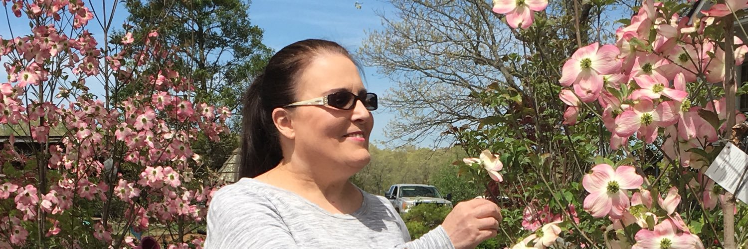 Scswalm's profile banner image