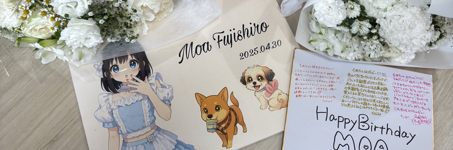 藤代もあ🐻‍❄️ banner