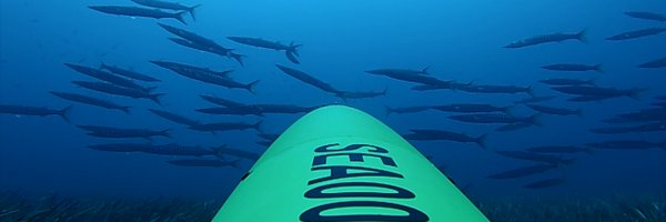 SeaExplorerUUV Profile Banner