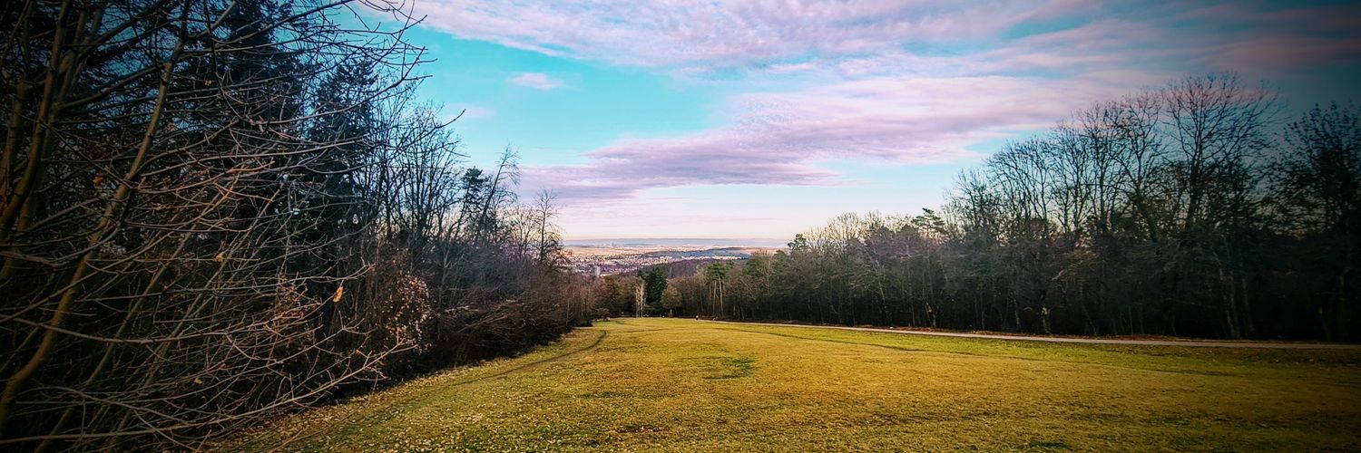 Matthias R @uuulmer.bsky.social banner