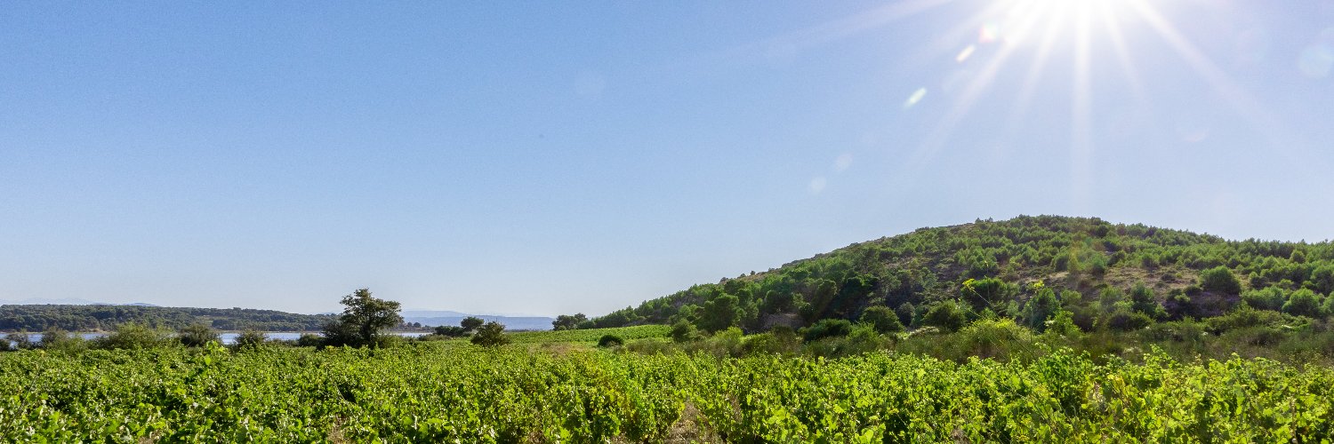 GéraldineLeroux banner