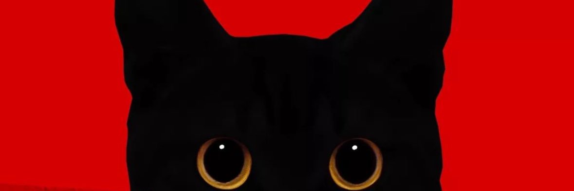 sedaakdere's profile banner image