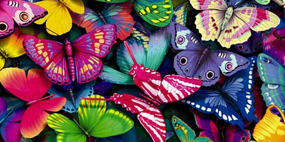SalpyOhanis's profile banner image