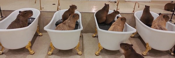 mine_P Profile Banner