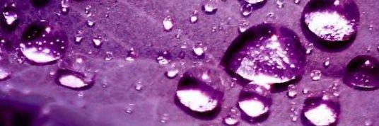 manoj986's profile banner image