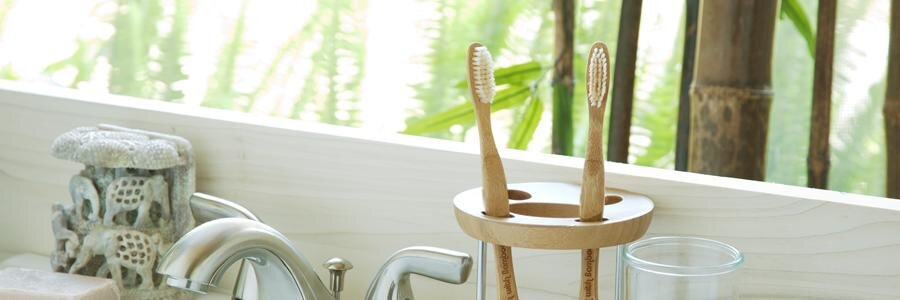 Brush with Bamboo banner