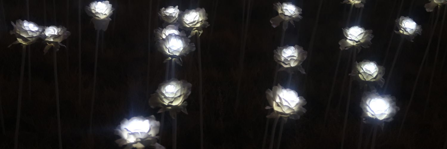 Hedleyoudec's profile banner image