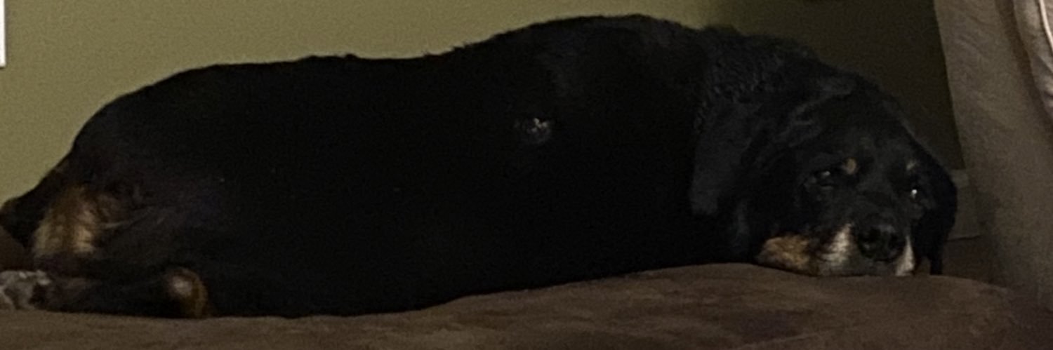 NickRusso27's profile banner image