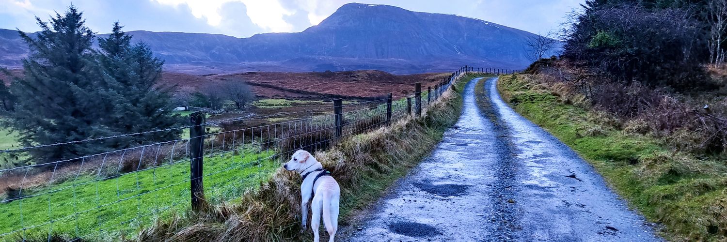ElinDoyle's profile banner image