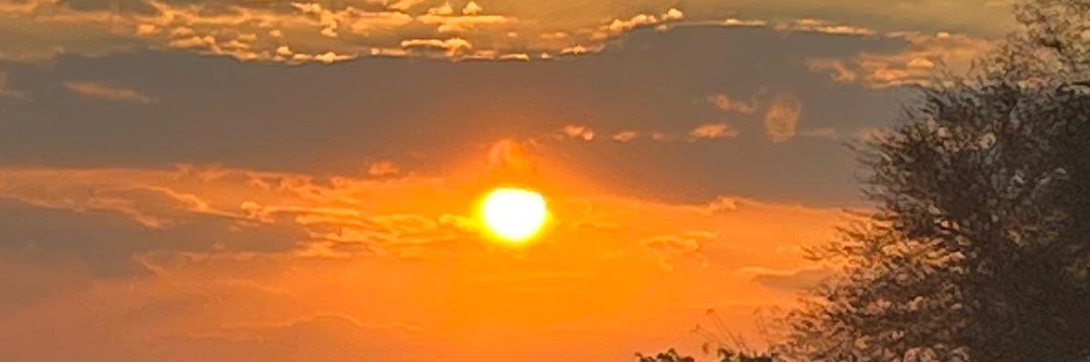 tatashopper's profile banner image