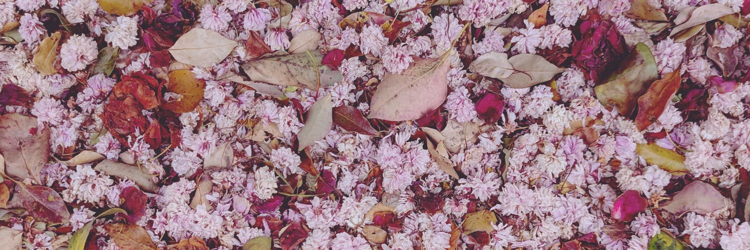 さんぢぇるまん・猿😗各電子版半額セール中🍀TeamM🍊トゲトゲ🦔🥁 banner