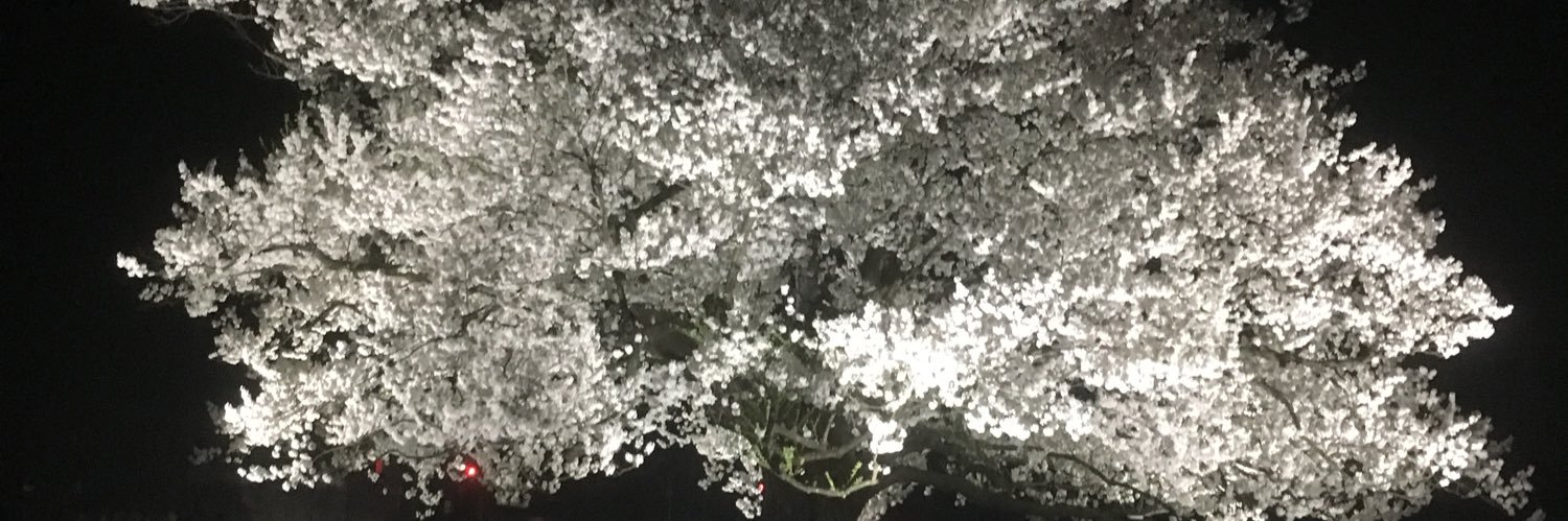 p_vymh's profile banner image