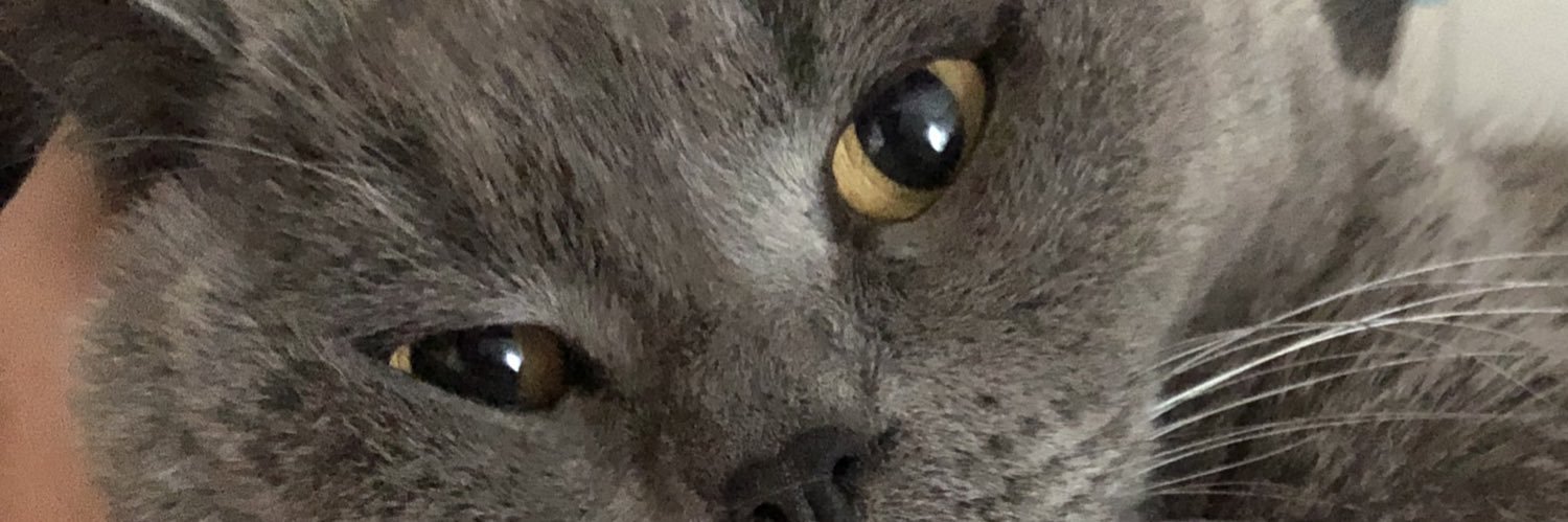cannn_sudee's profile banner image