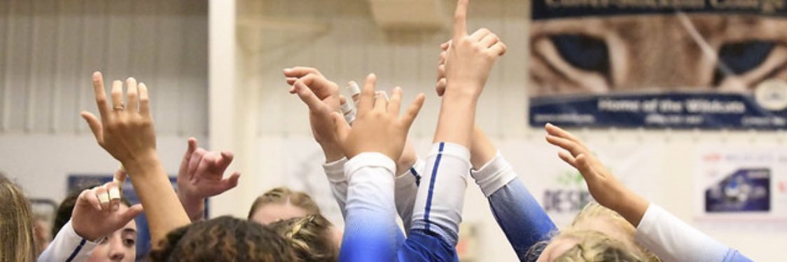 Culver-Stockton Women's Volleyball banner