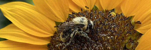 melrollingstone Profile Banner