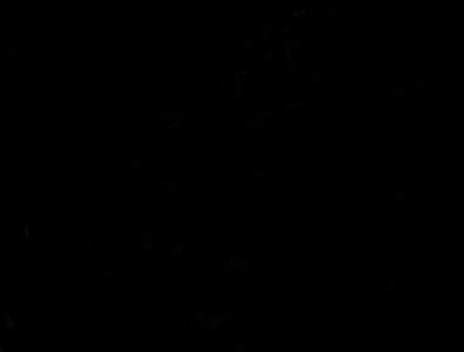 leongdrx's profile banner image