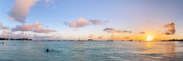 HaleyRWang Profile Banner