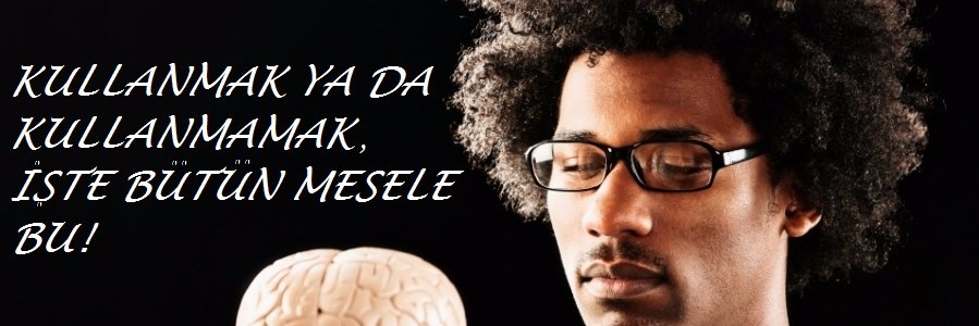 shakespeareWKM's profile banner image